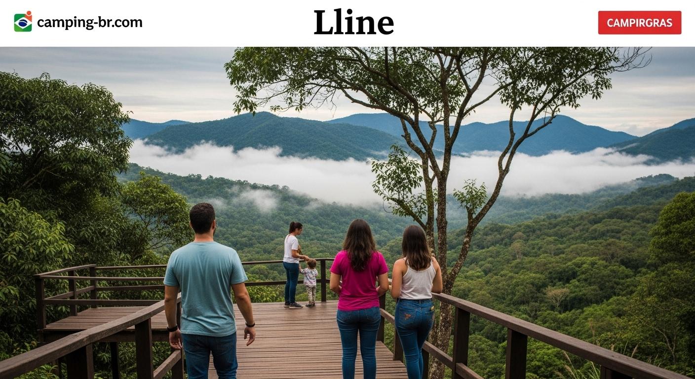 Borussia in Brazil: A Deep Dive Into Camping and Fandom